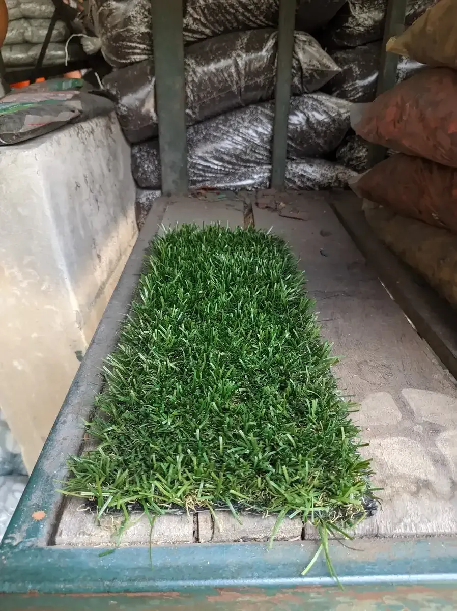 Una bandeja de césped verde está sobre una mesa.