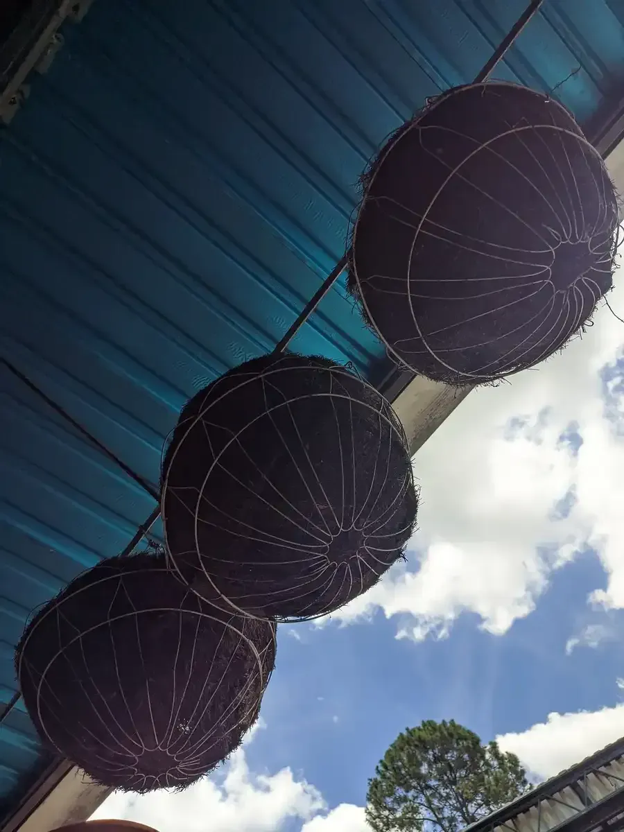 Tres cestas cuelgan del techo de un edificio.