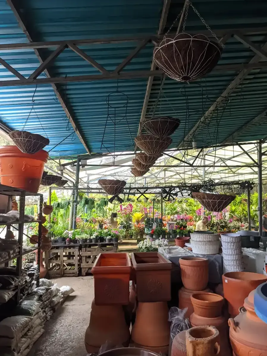 Un invernadero lleno de macetas y cestas.