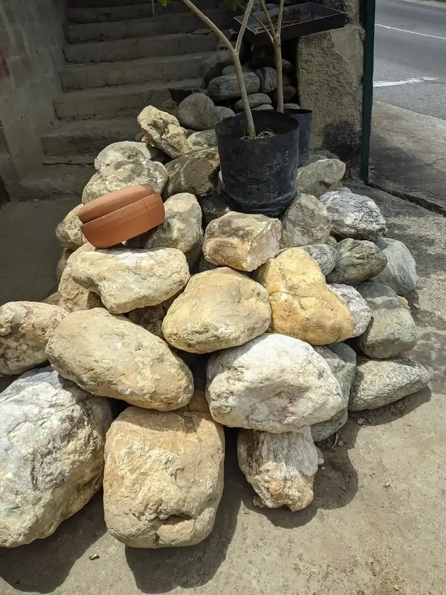 Un montón de rocas con una planta en maceta al fondo.
