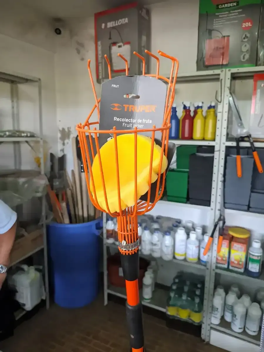 Una canasta para agarrar frutas con un objeto amarillo dentro está en una tienda.