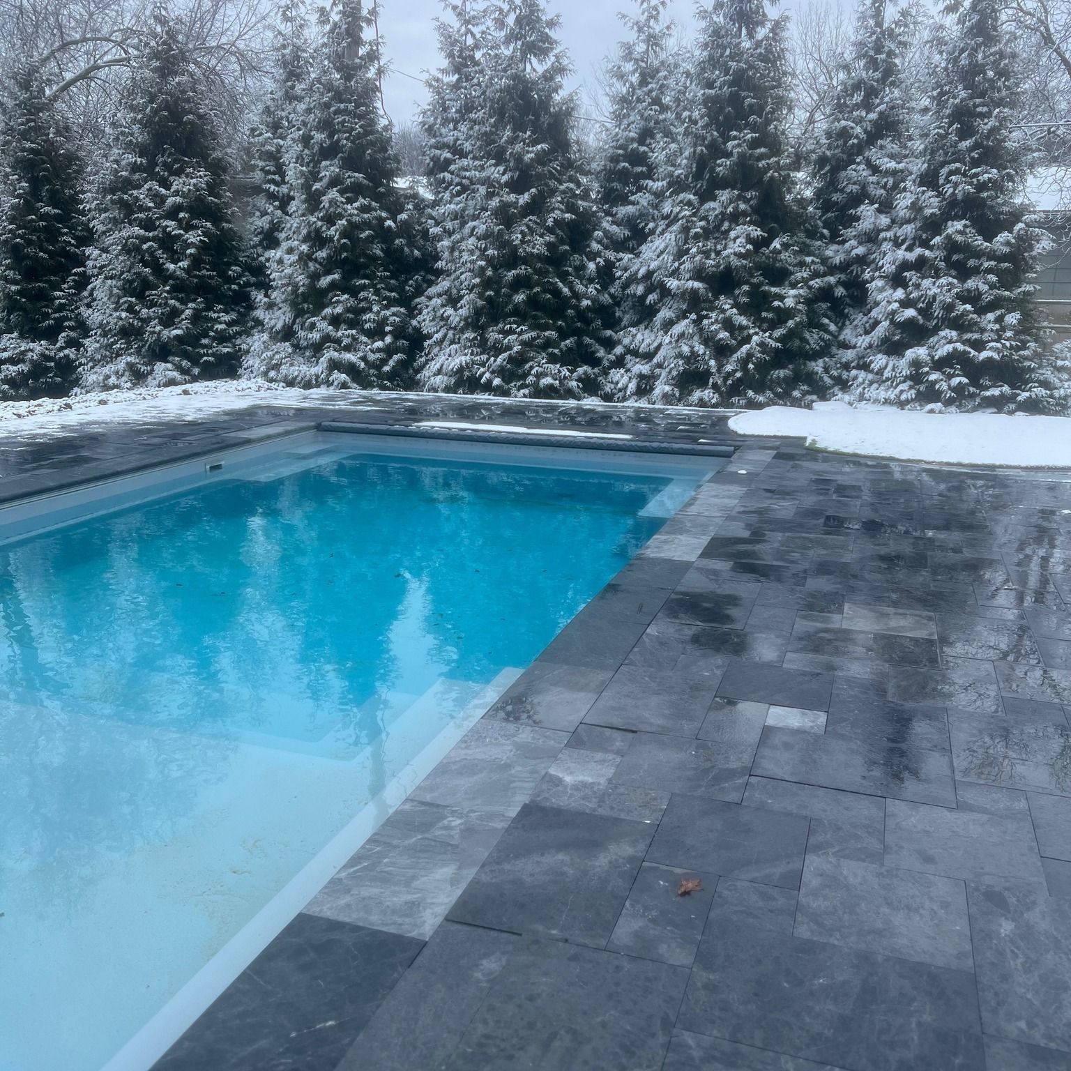 Backyard pool with blue water, a turtle floatie, and a house in the background under a blue sky.