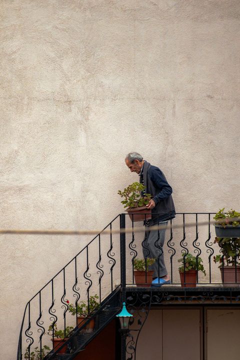 A man is standing on a balcony holding a potted plant.