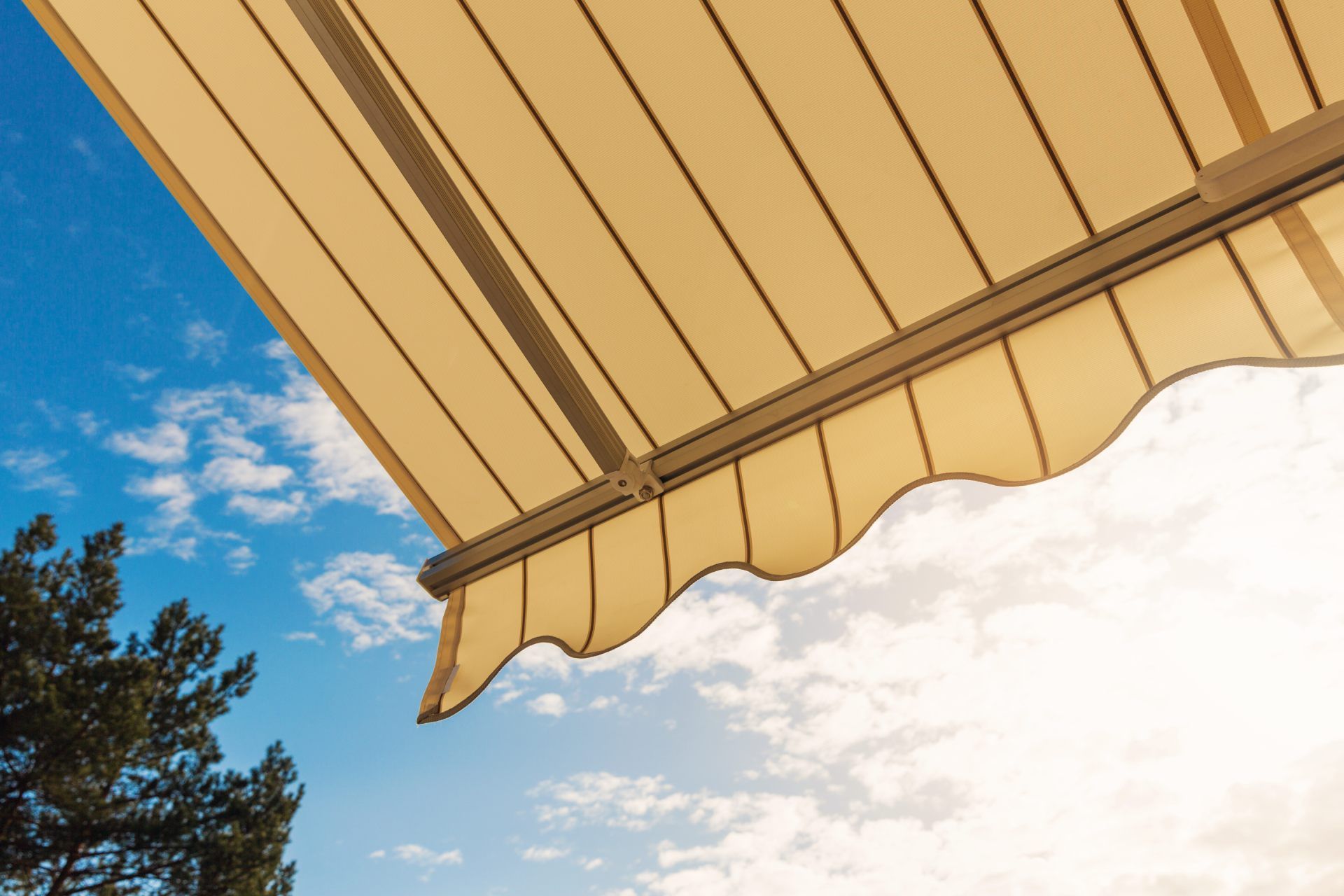 Tenda da sole beige contro un cielo azzurro brillante con nuvole bianche; nell'angolo si vede un albero.