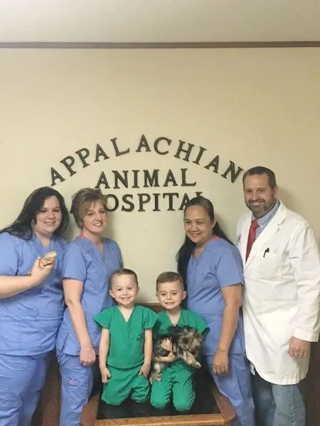 Veterinarian Clinic — Morristown, TN — Appalachian Animal Hospital