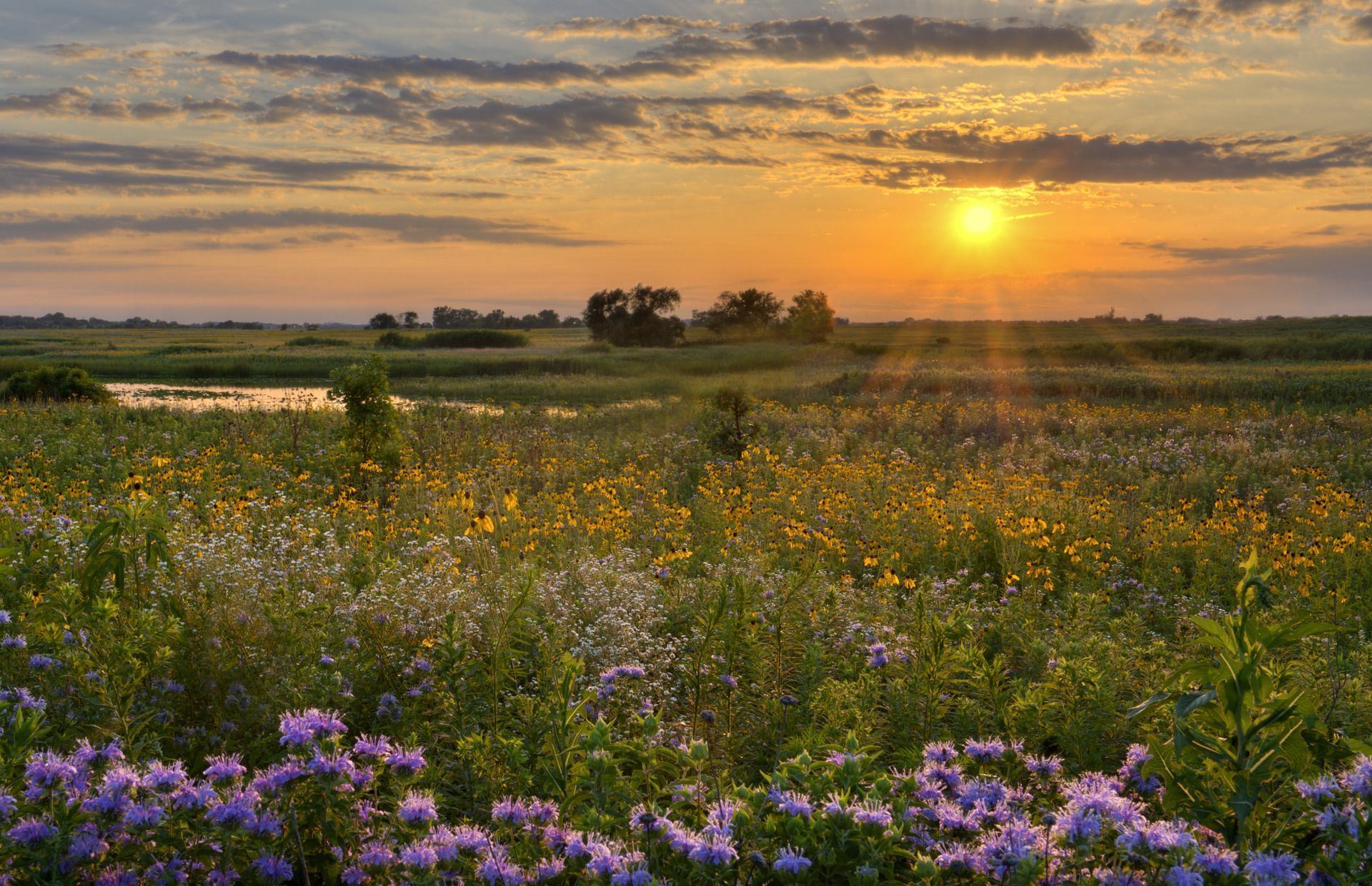 A man and a woman are sitting on a couch looking at a laptop computer.