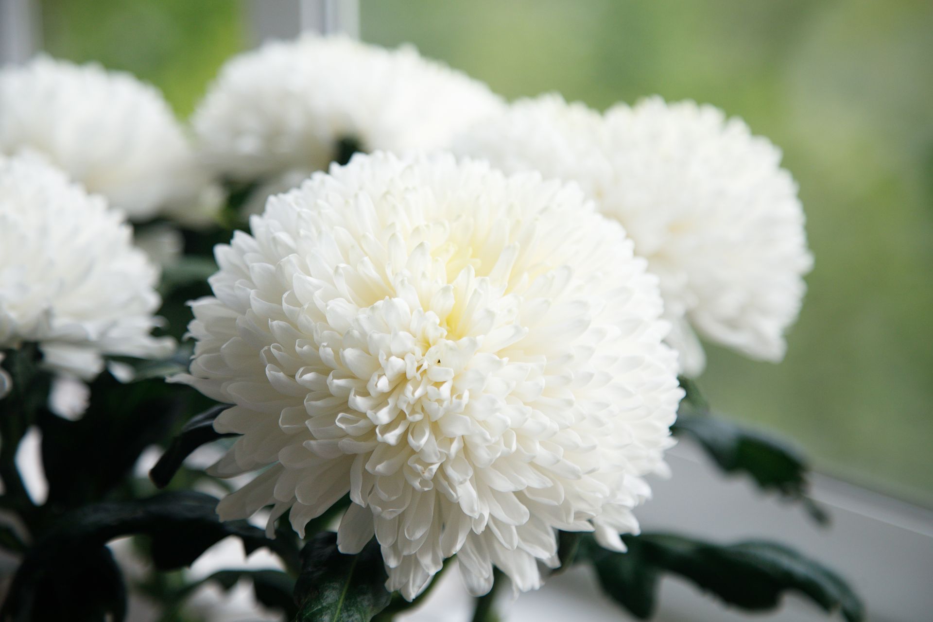 A group of people are posing for a picture together and smiling.