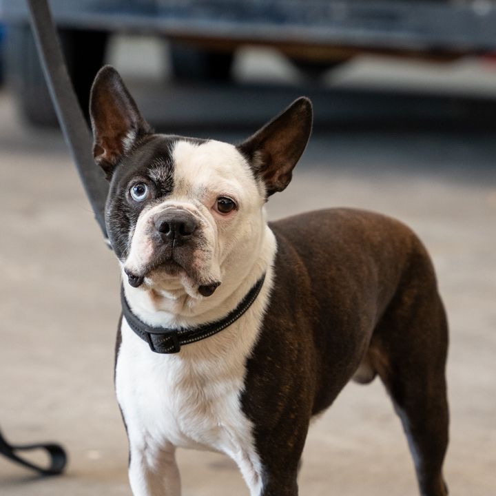 The best employee at Wrench Connection
