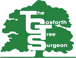 The Gosforth Tree Surgeon Logo