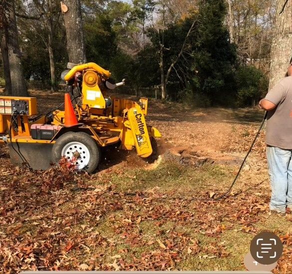 Stump Grinding — Gastonia, NC — Rocky's Tree Service