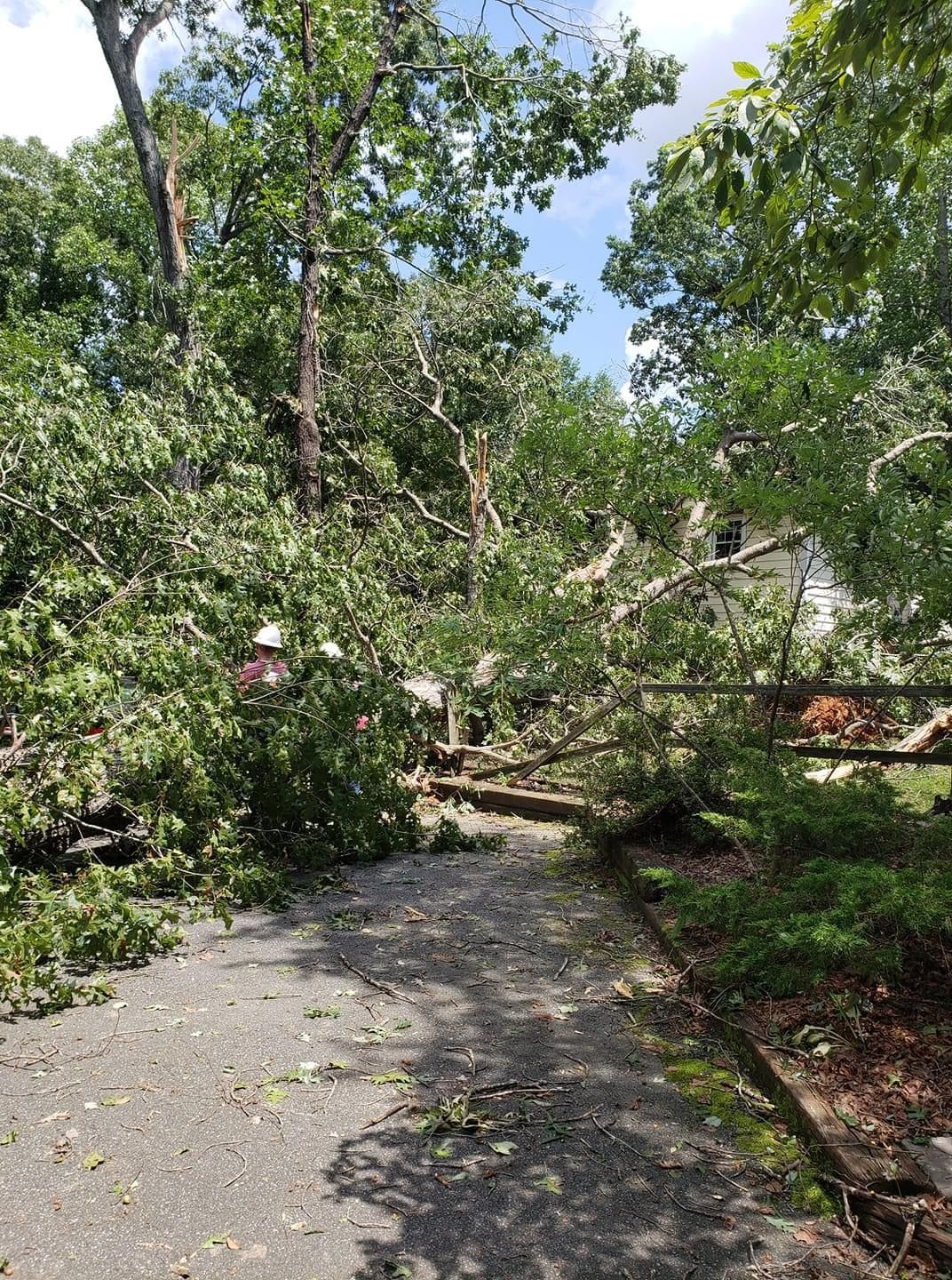 A Tree That Has Fallen On The Side Of A Road — Gastonia, NC — Rocky's Tree Service