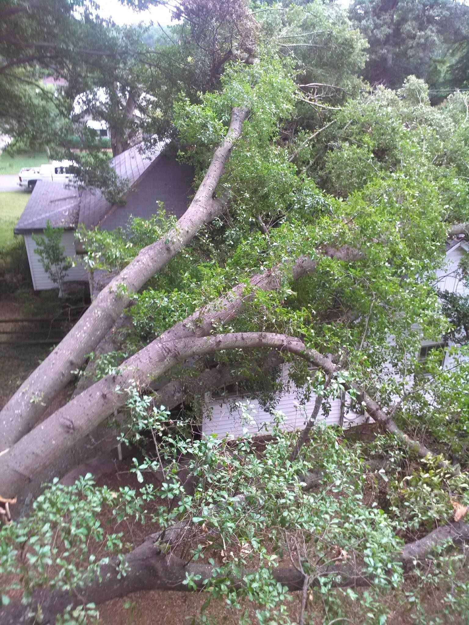 Trees Fall On The Roof — Gastonia, NC — Rocky's Tree Service