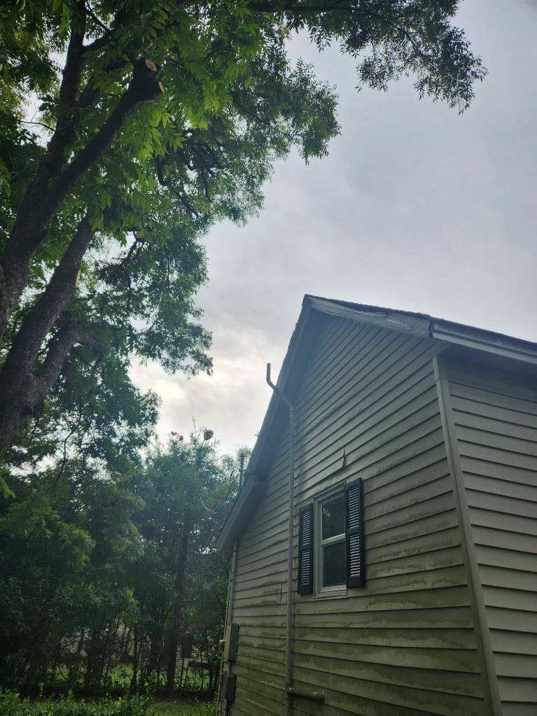 A House With A Tree Growing On The Side Of It — Gastonia, NC — Rocky's Tree Service