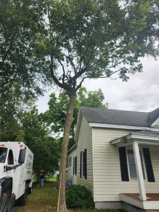 A White House With A Large Tree In Front Of It — Gastonia, NC — Rocky's Tree Service