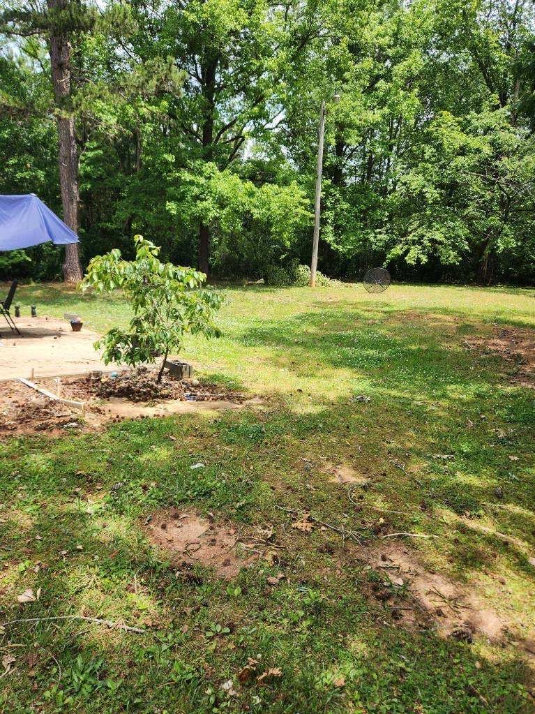 A Tent Is Sitting In The Middle Of A Grassy Field Surrounded By Trees — Gastonia, NC — Rocky's Tree Service