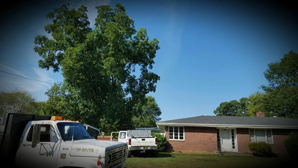 Big Trees — Gastonia, NC — Rocky's Tree Service