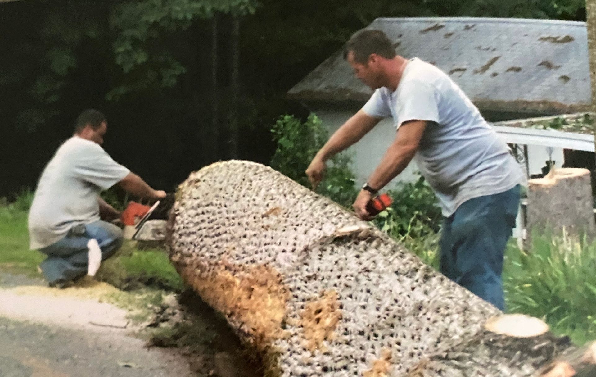 Two Men Are Cutting A Large Log With A Chainsaw — Gastonia, NC — Rocky's Tree Service