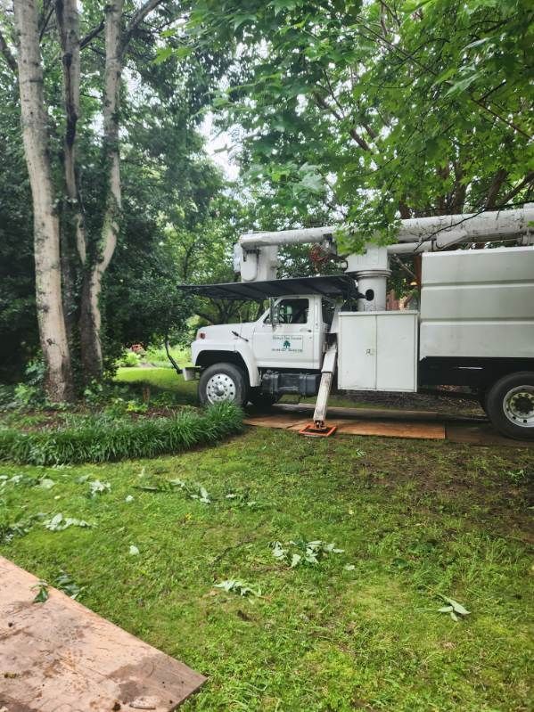 A White Utility Truck Is Parked In A Yard Next To A Tree — Gastonia, NC — Rocky's Tree Service