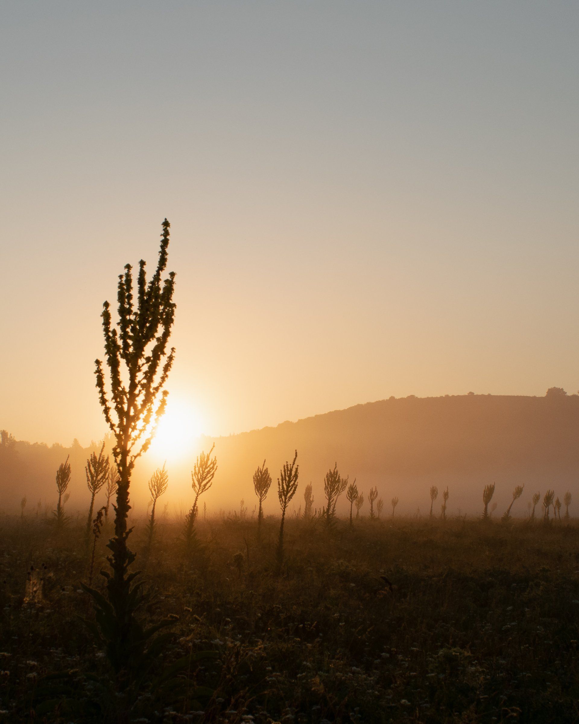 Sonnenaufgang im Nebel in Tihany, PknyPictures