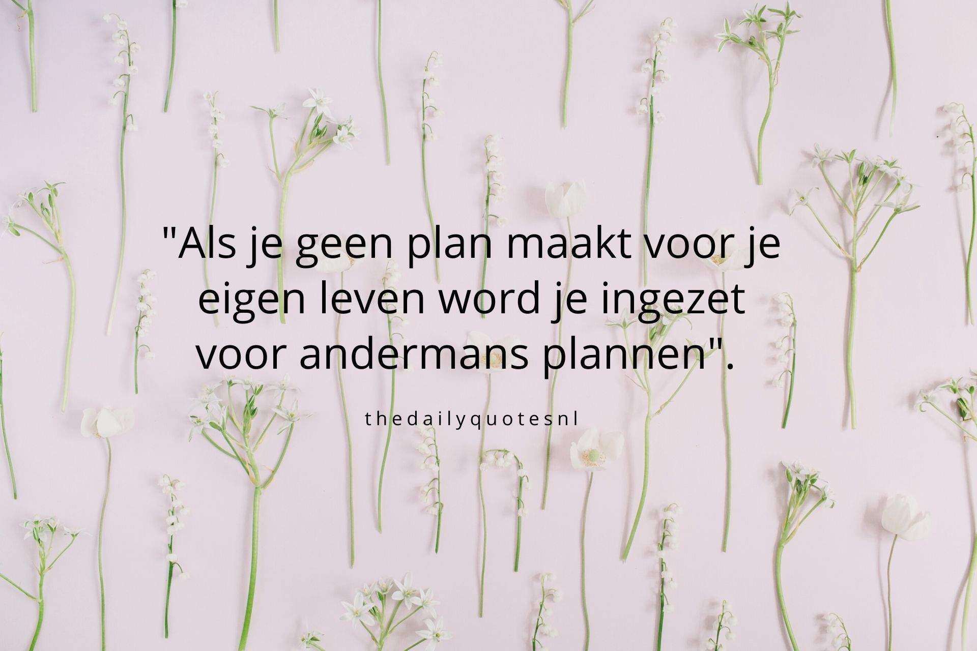 'Als je geen plan maakt voor je eigen leven word je ingezet voor