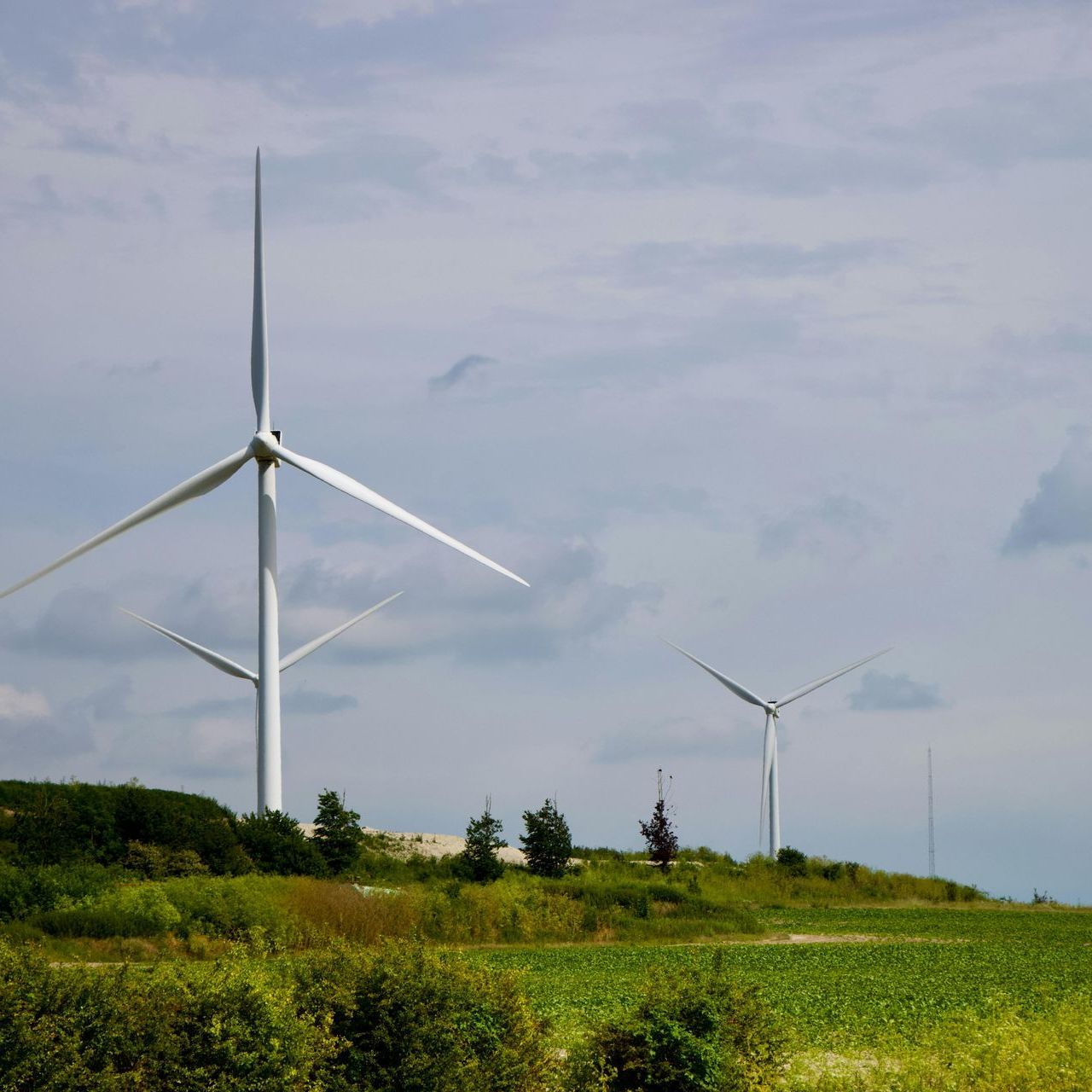A row of wind turbines are sitting on top of a grassy hill.