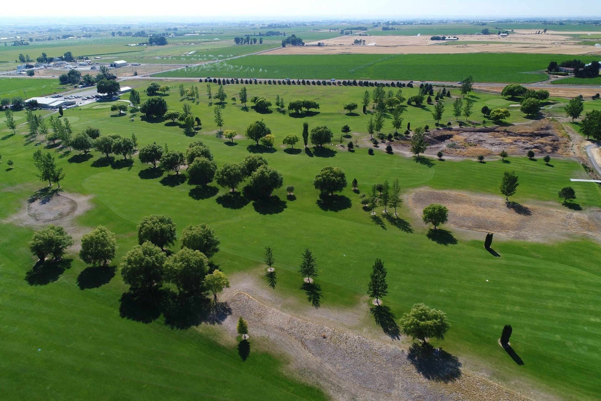 Aerial view of a green field with scattered trees and open farmland under a clear sky.