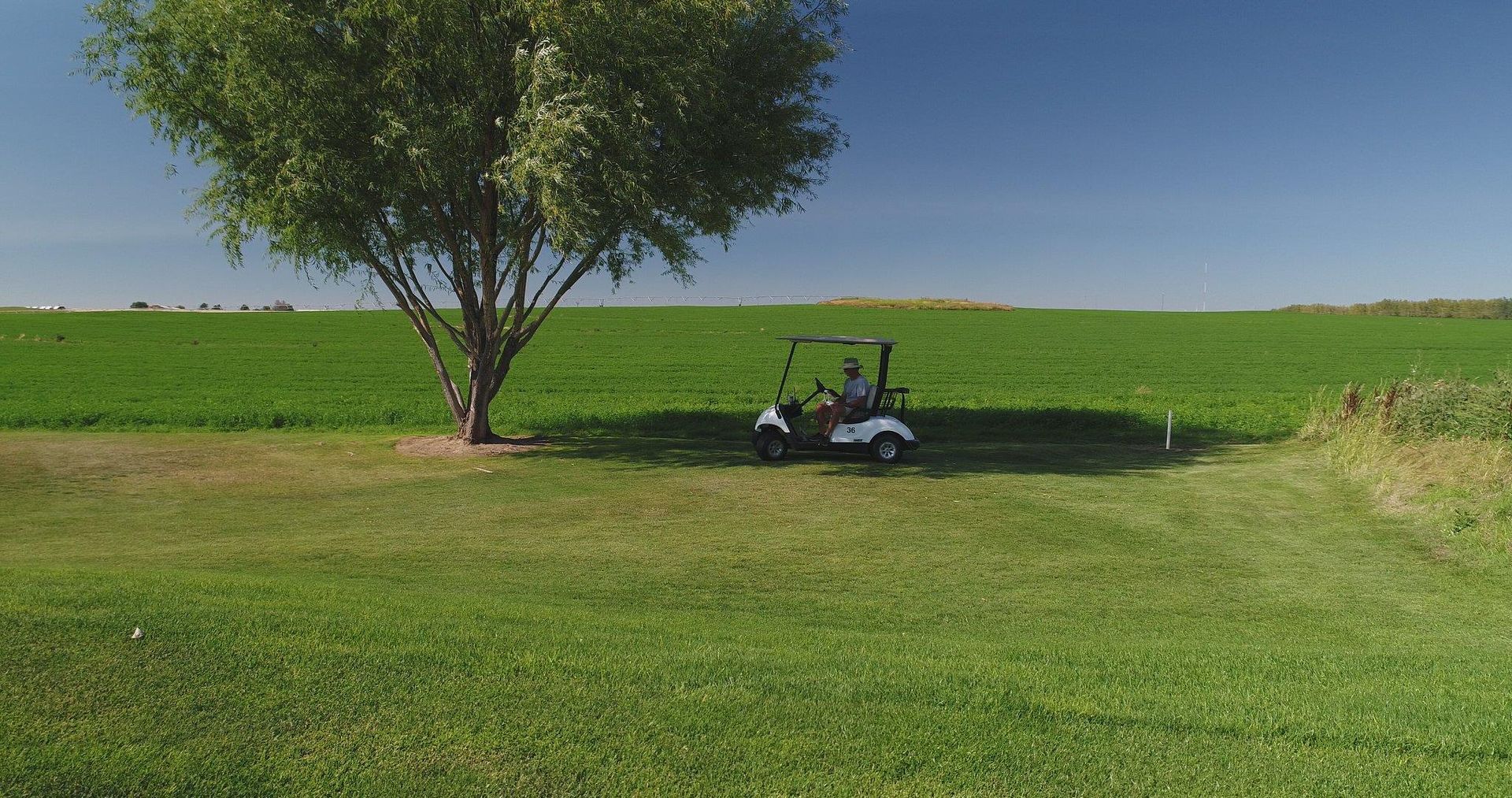 Golf cart beneath a tree on a grassy field with green hills and blue sky