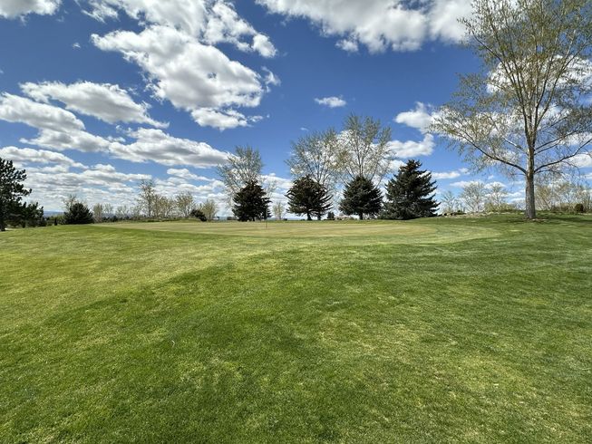 Grassy park field under a blue sky with scattered clouds and trees along the horizon