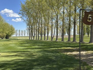 Tree-lined grassy park under a blue sky with clouds, and a brown signpost at the right edge.