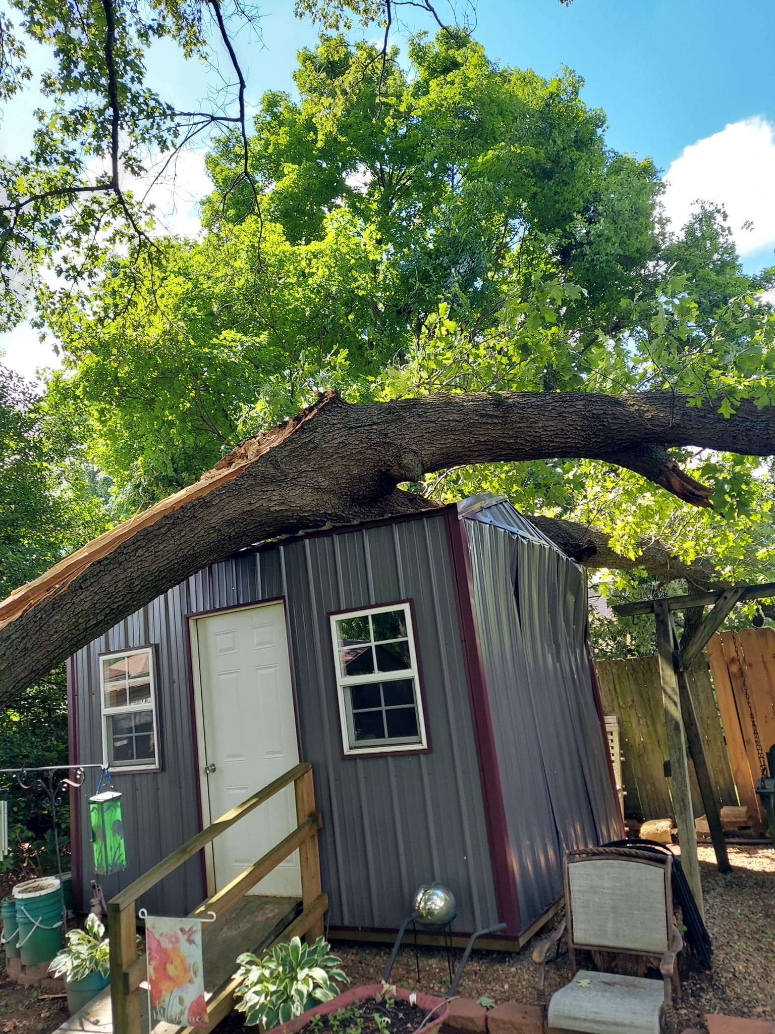 A shed with a large tree branch resting on its roof, in a yard.