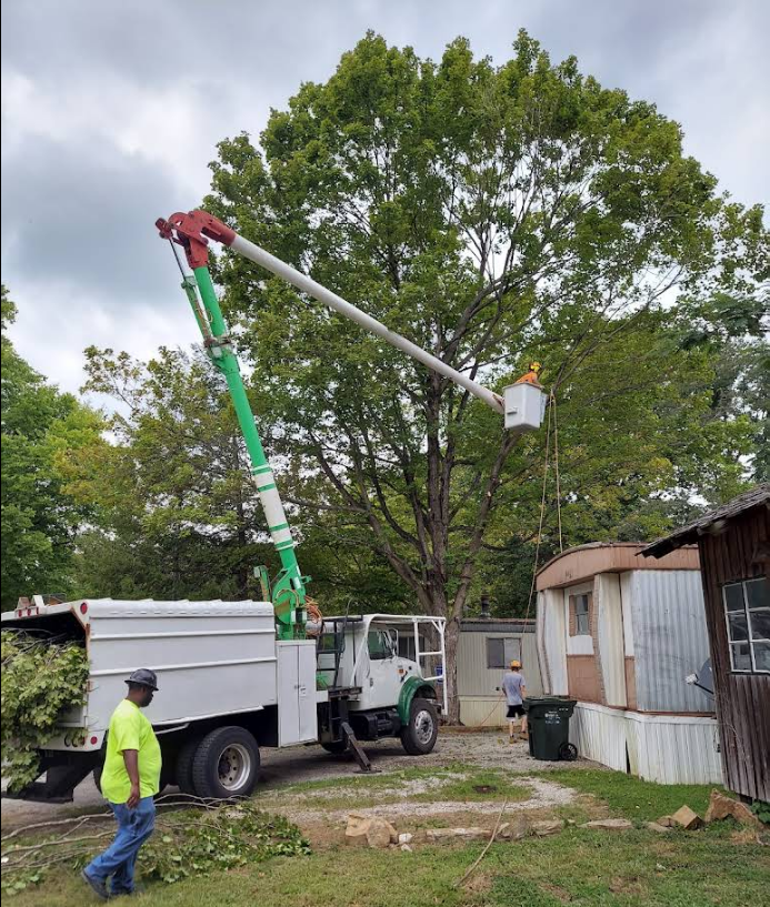 Truck with lift cutting a tree near a building; a worker watches the work being done.