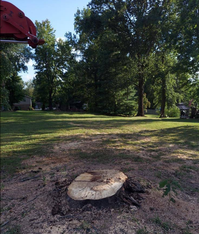 Tree stump in a grassy yard, with a tree removal machine in the background. Sunny day.