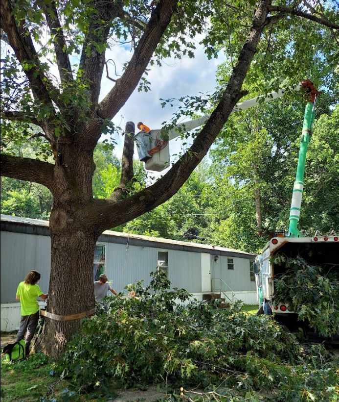 Tree trimming in progress: Workers in a bucket truck and on the ground cutting branches near a mobile home.