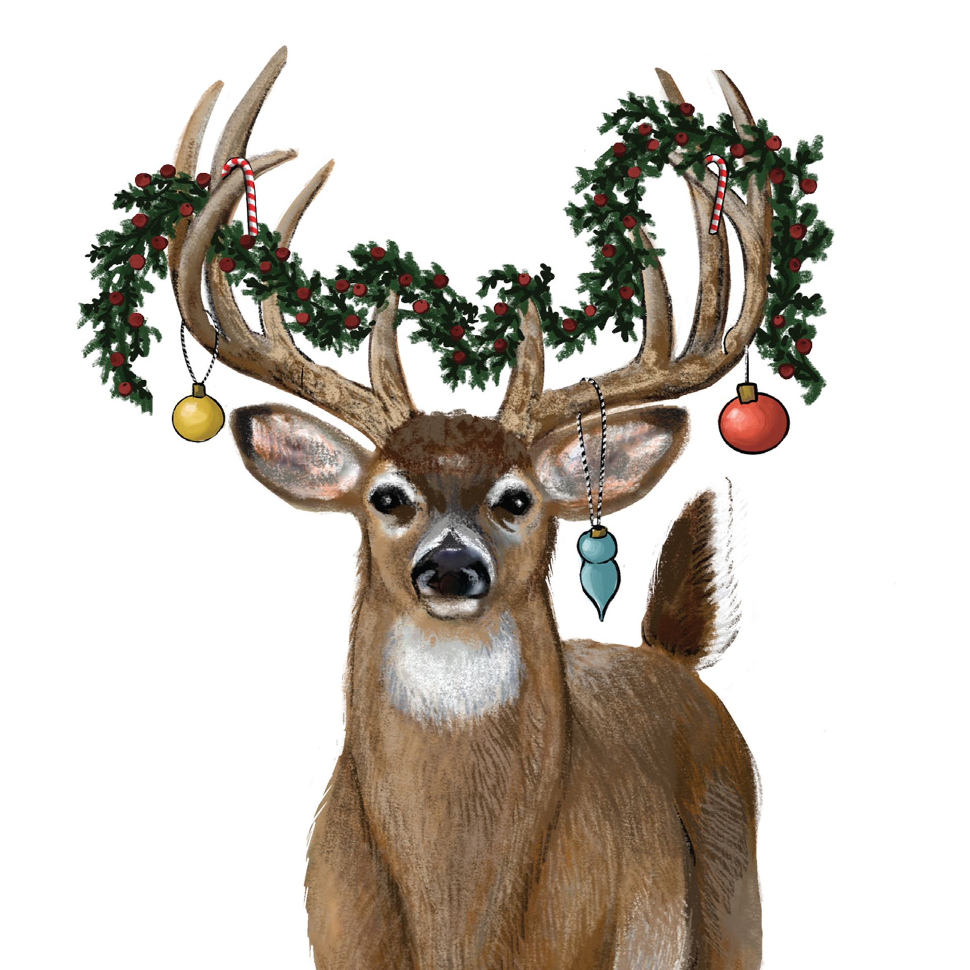 My DEER Card