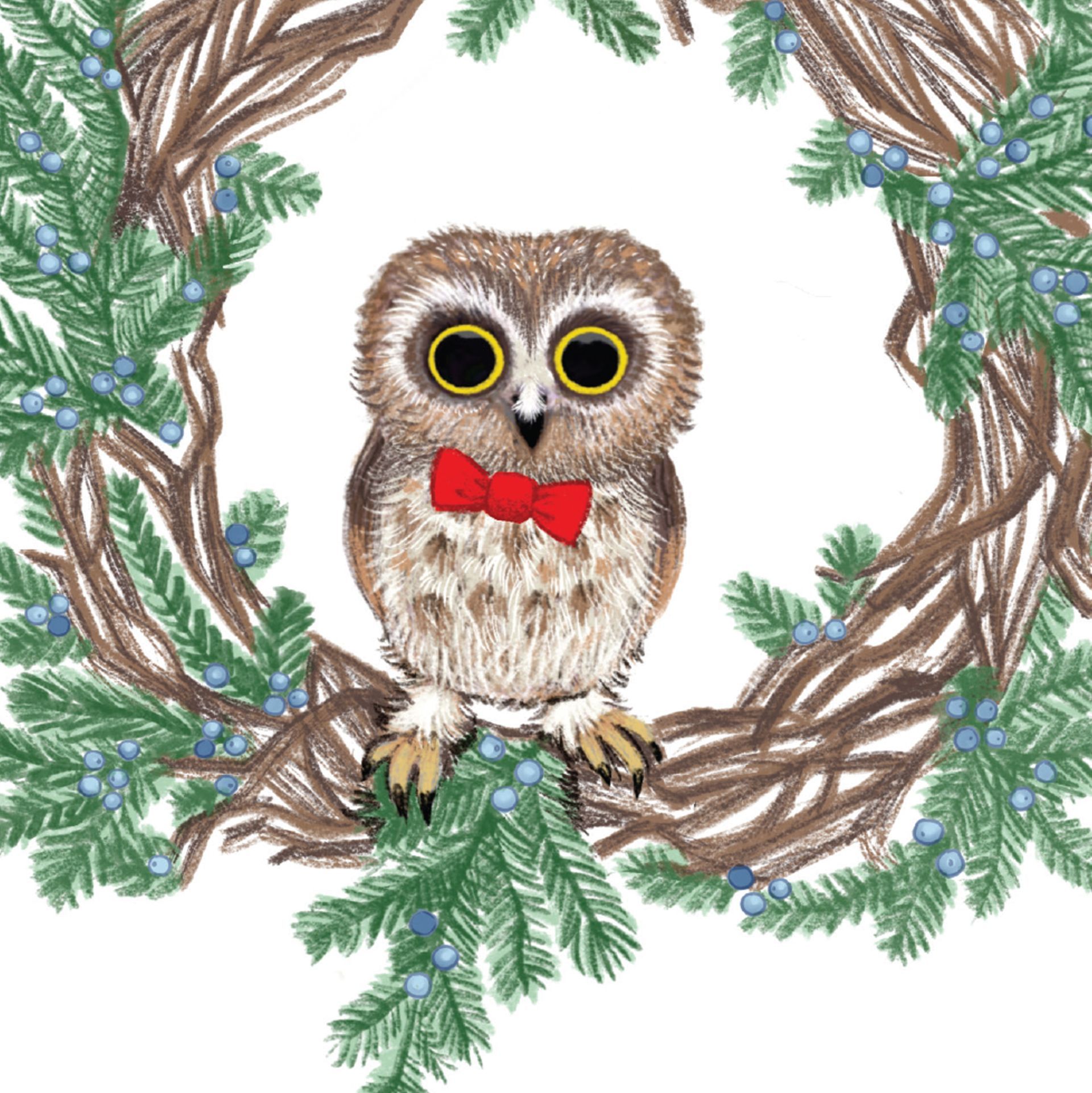HAVE A HOOT Owl Card