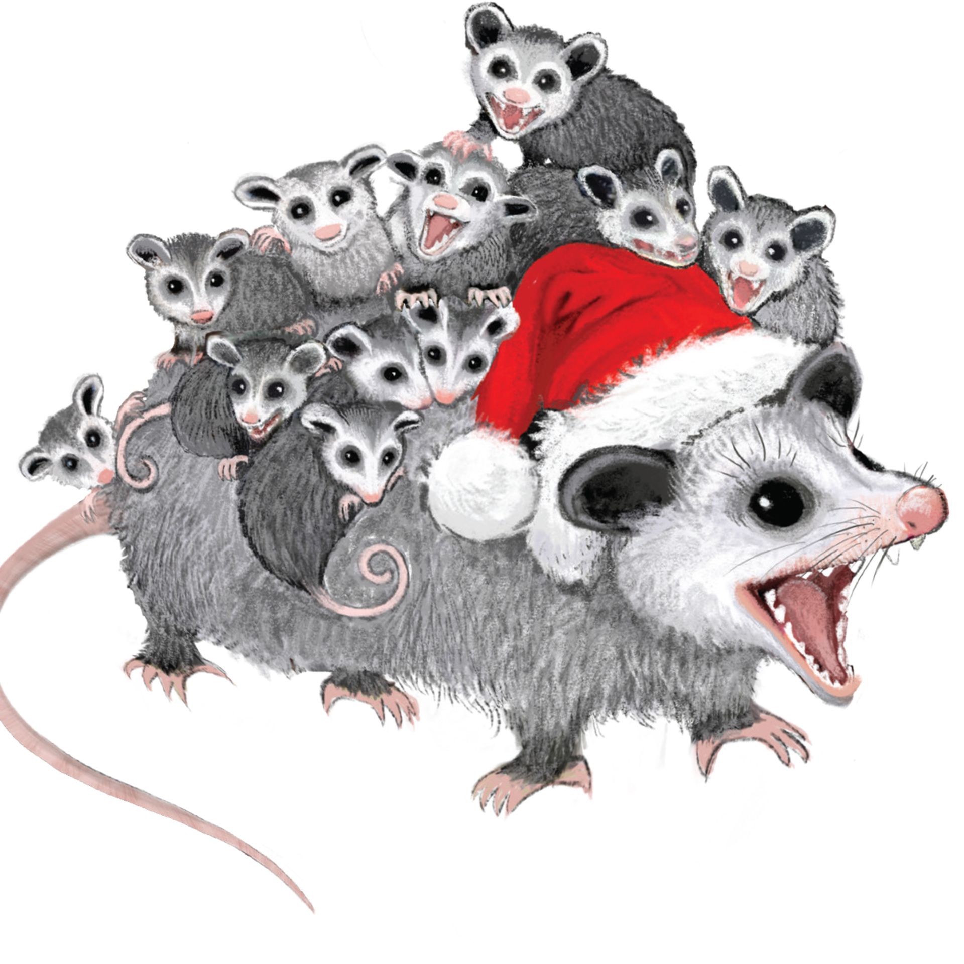 Totally POSSUM Christmas Card