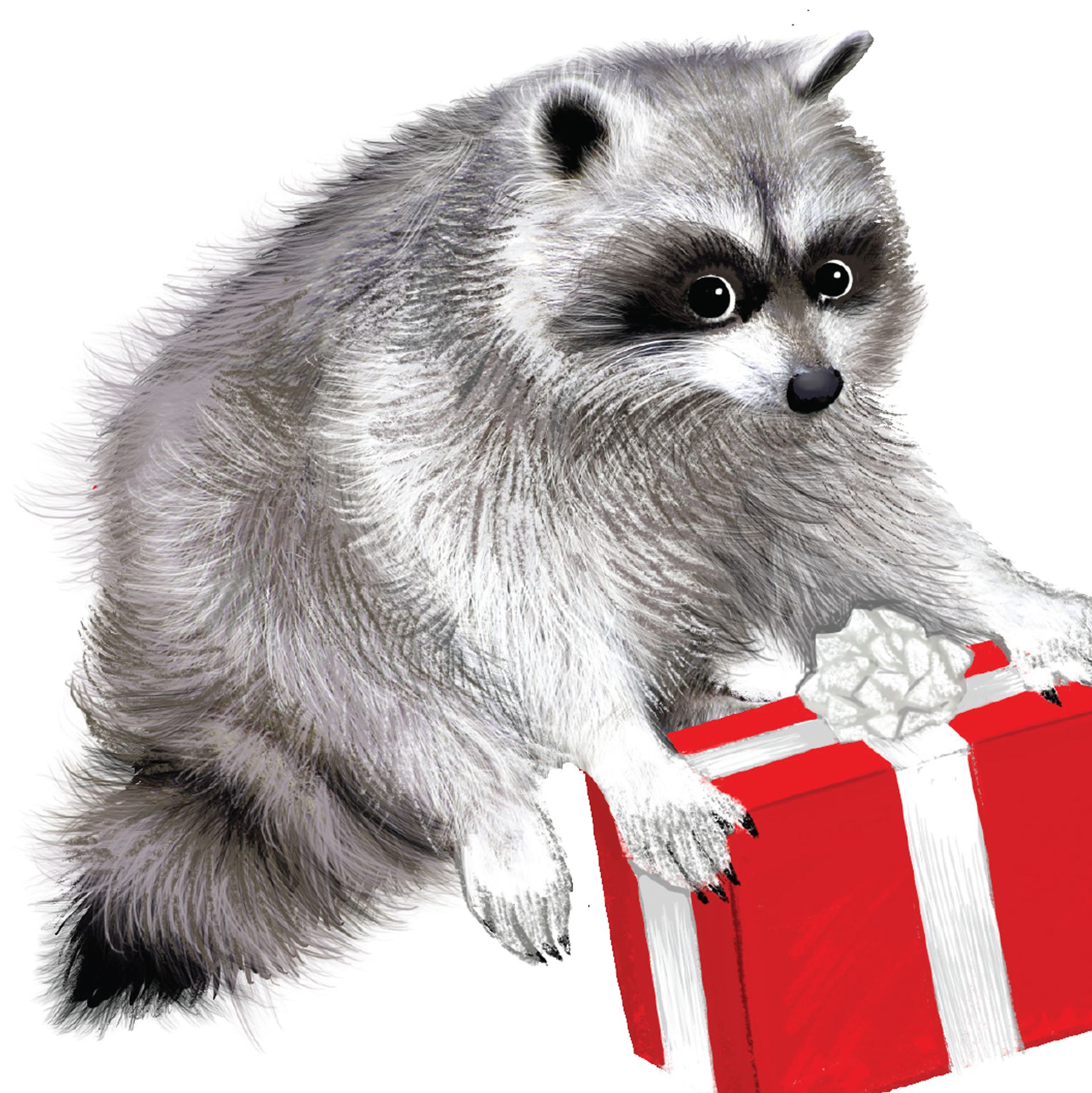 FILTHY ANIMAL Raccoon Card