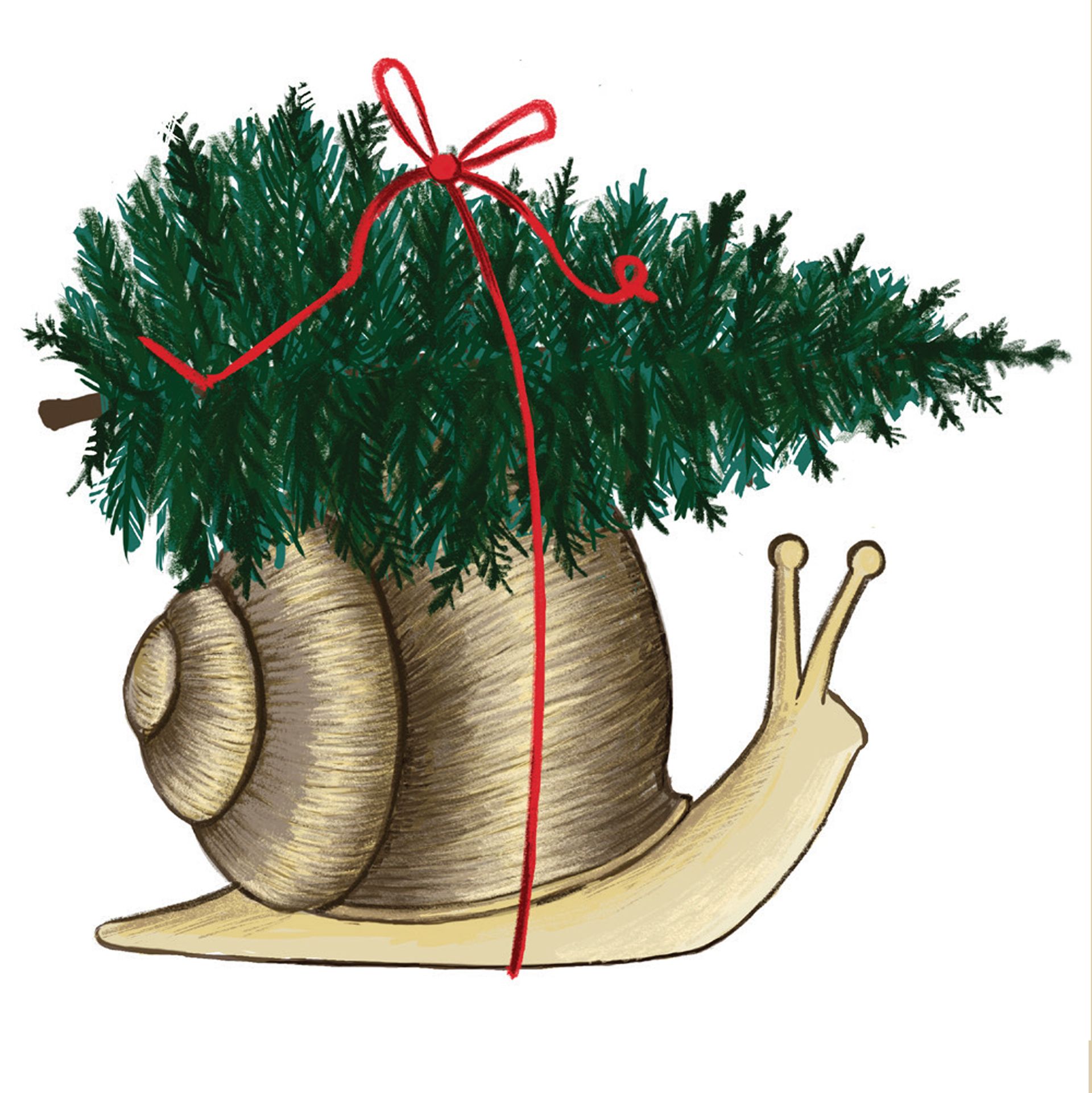 SLOW DOWN Snail Card