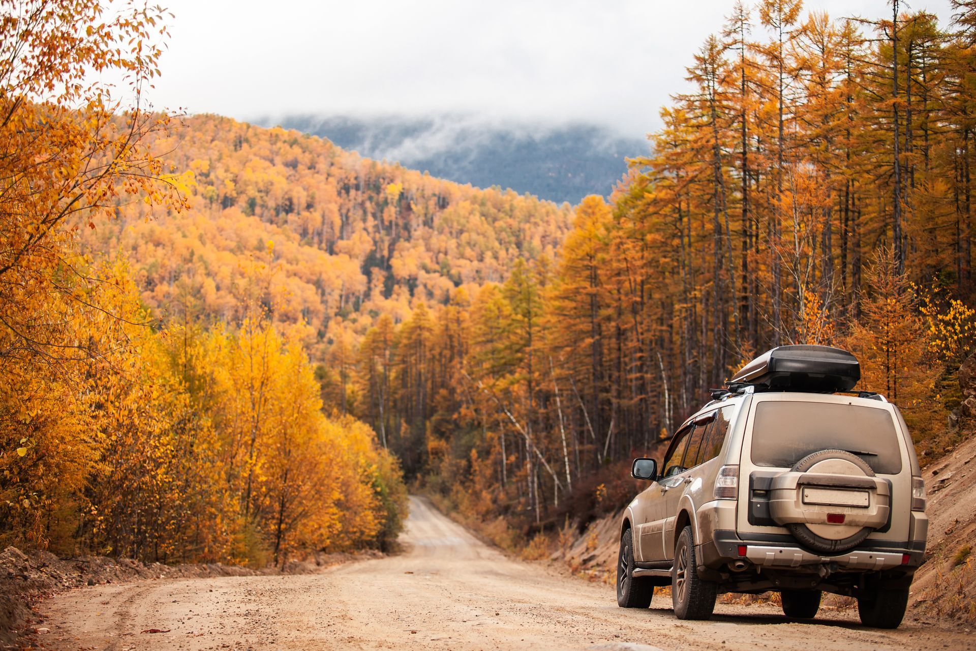 SUV on dirt road through autumn forest. | Rocky Mountain Car Care