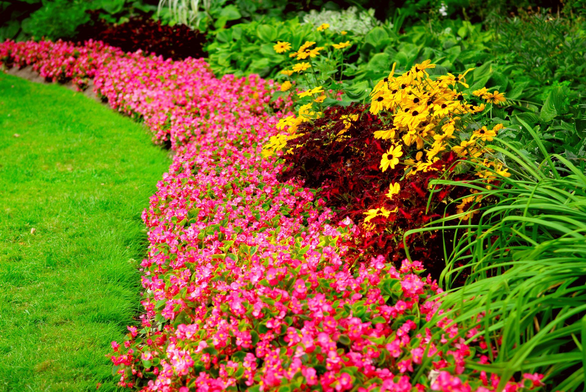 GARDEN DESIGN IN SANTA ROSA, CA