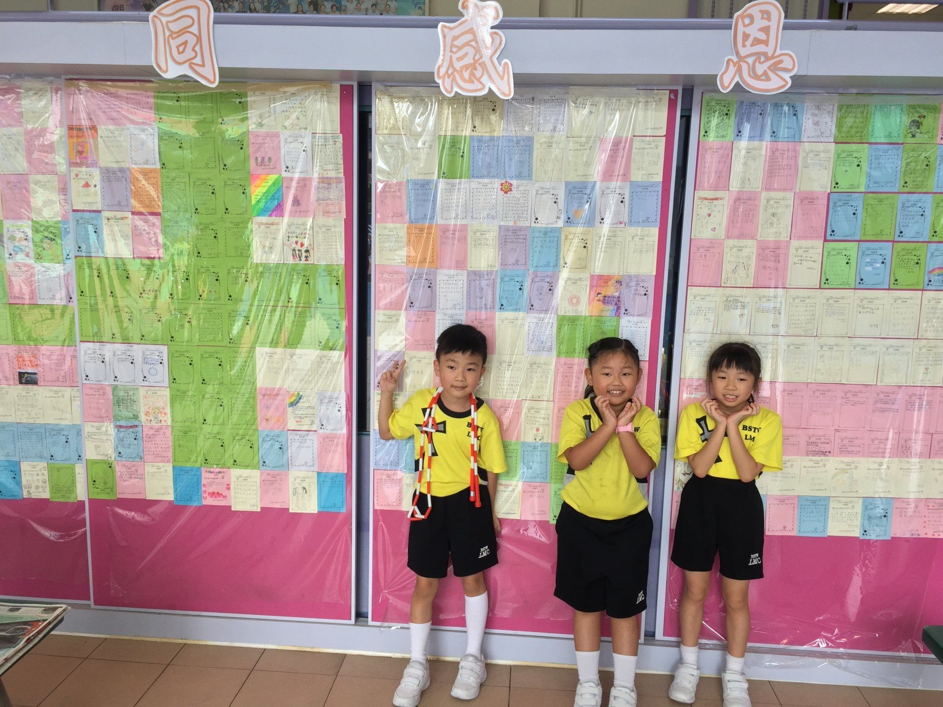 Baptist (Sha Tin Wai) Lui Ming Choi Primary School