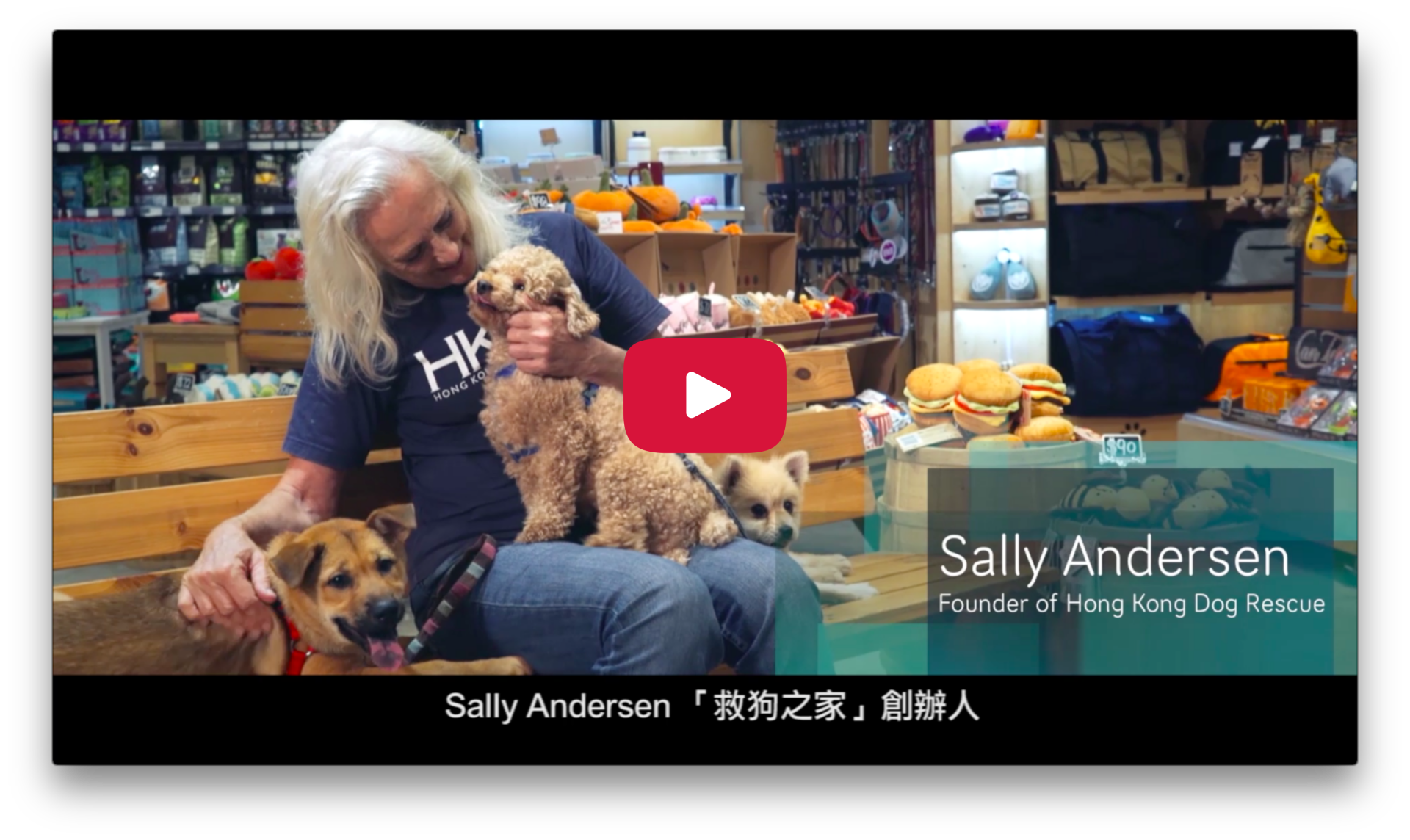 2017 Character Day Hong Kong Ambassador - Sally Anderson