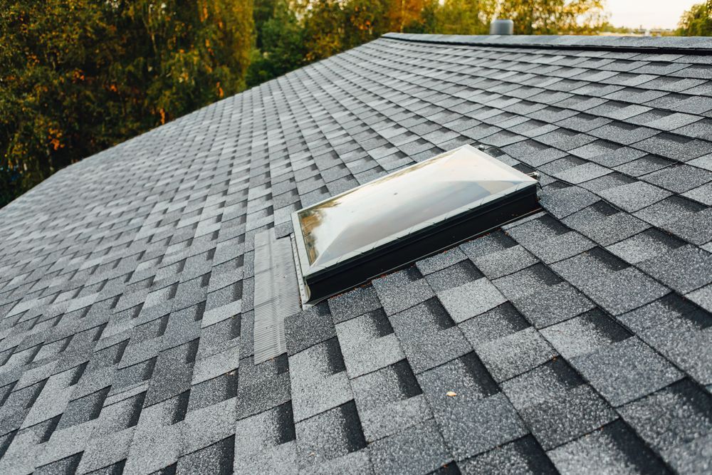 There is a skylight on the roof of a house.