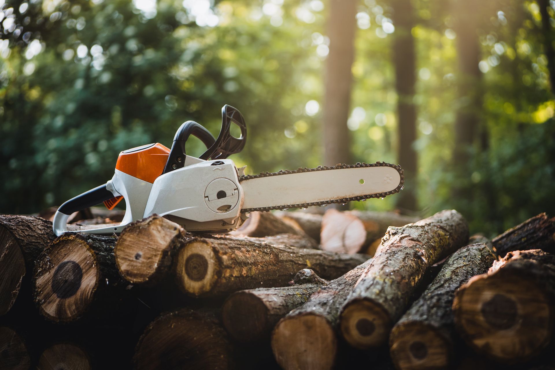 A chainsaw is sitting on top of a pile of logs.