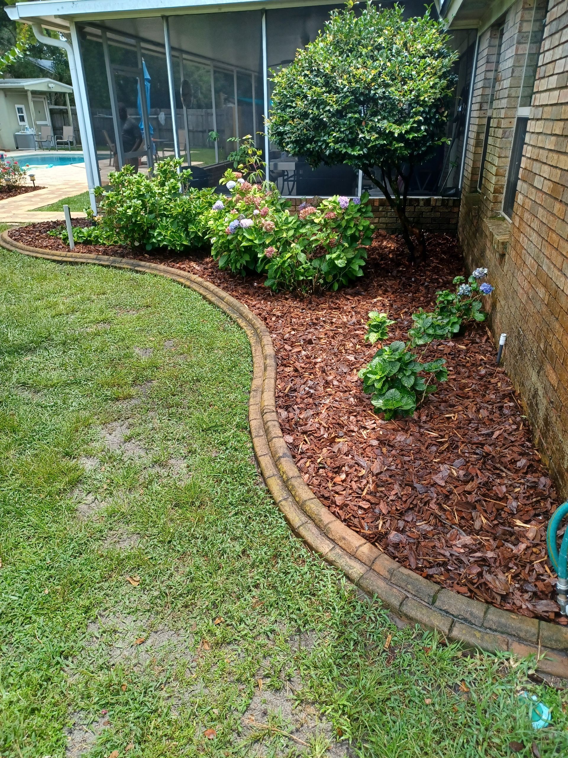 A backyard with a brick curb , mulch and plants.