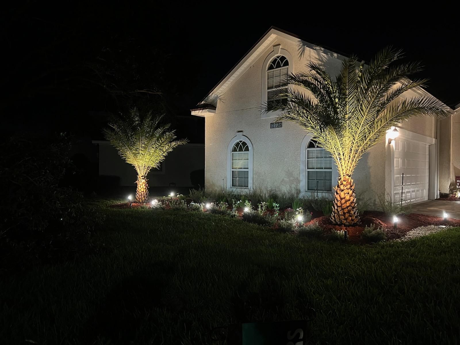 A house with two palm trees in front of it at night.