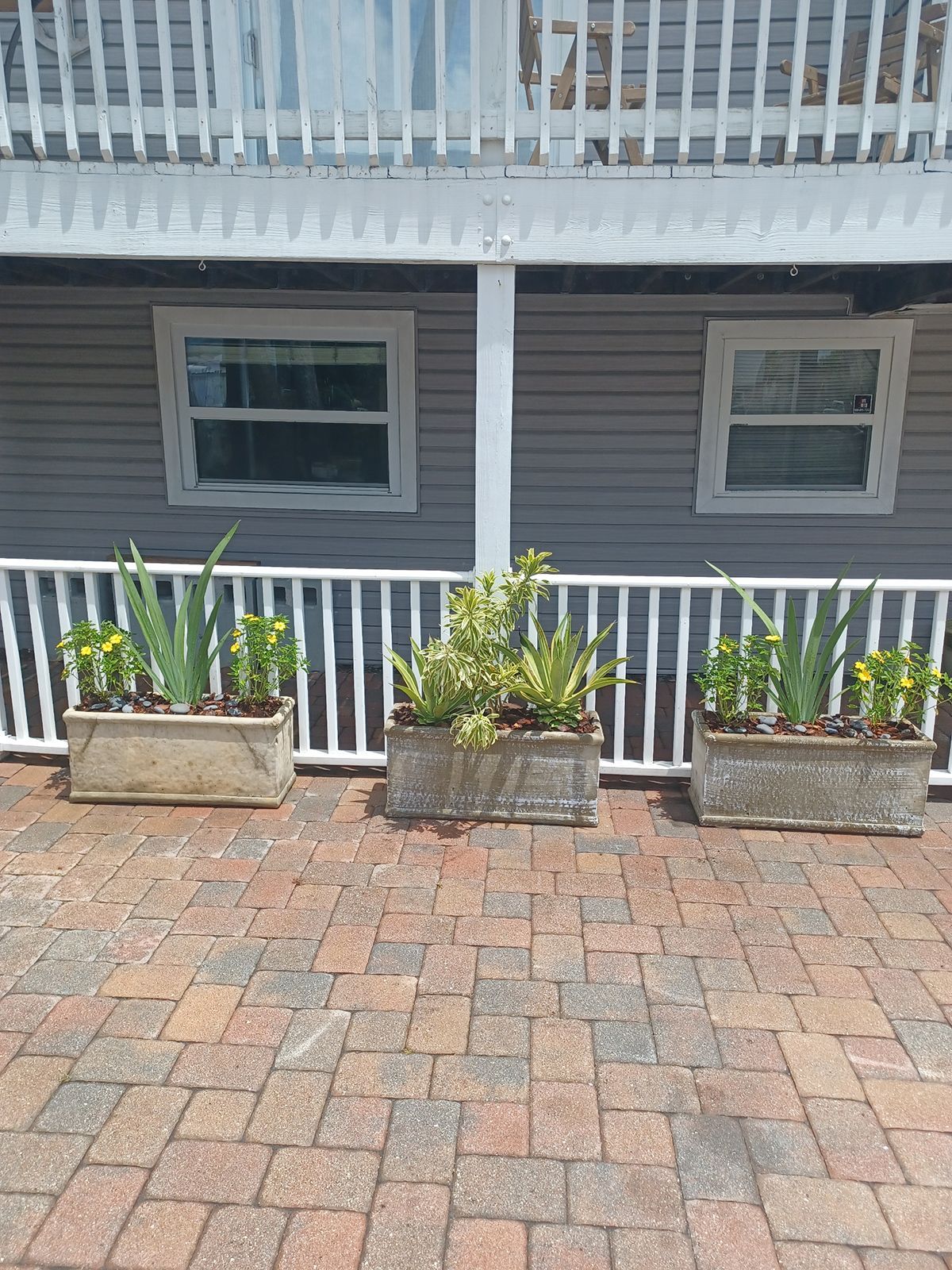 Three potted plants are sitting on a brick driveway in front of a house.
