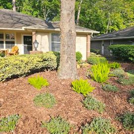 A house with a tree in front of it and a lush green yard.