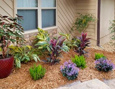 A garden with flowers and plants in front of a house