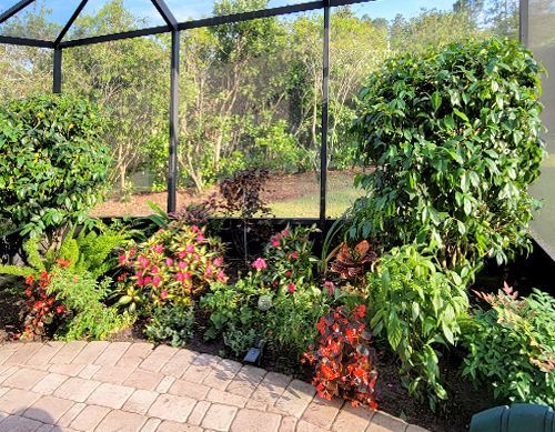 A greenhouse filled with lots of plants and flowers.